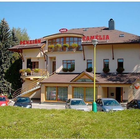 Penzion Kamelia Жилина Екстериор снимка
